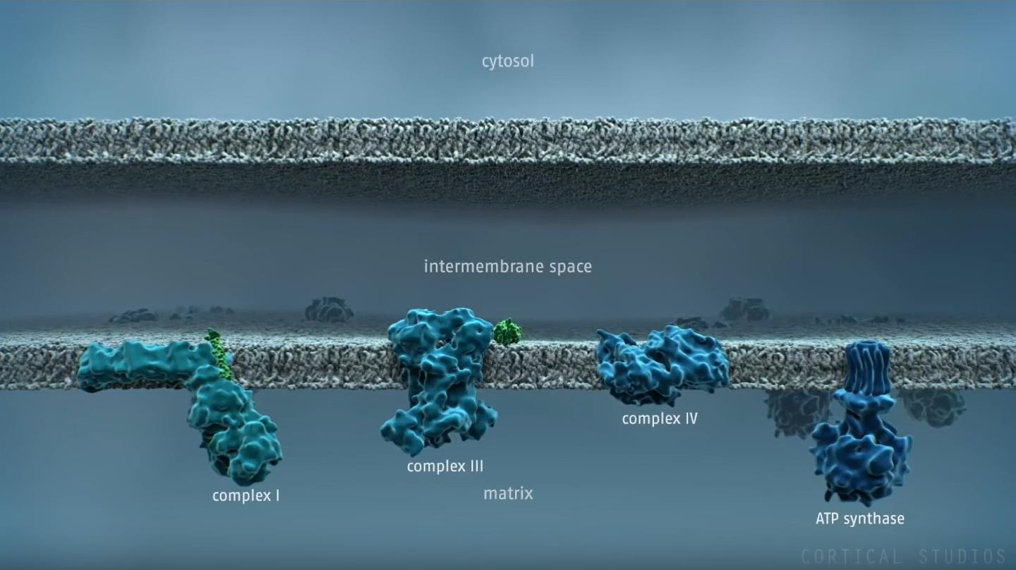 生物信息学实验.jpg